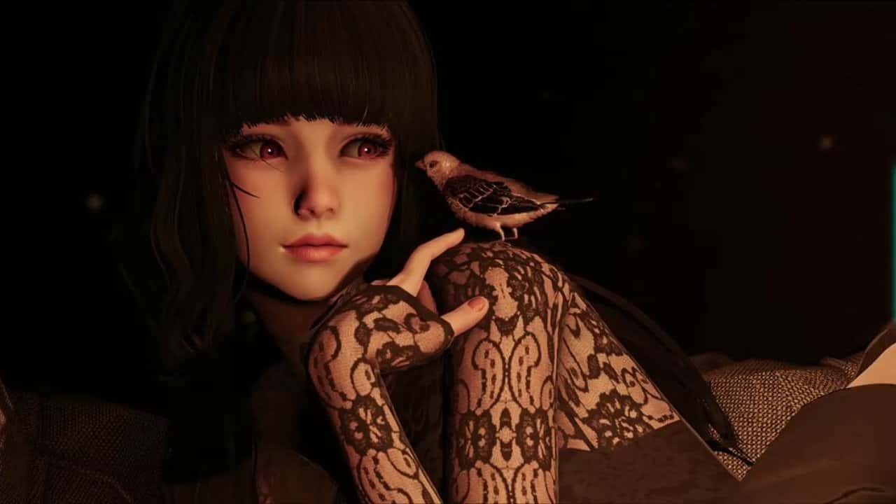 视觉数据5