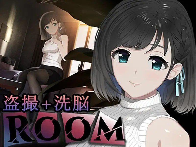 ROOM ROOM游戏论坛状态面板常见问题 封面图